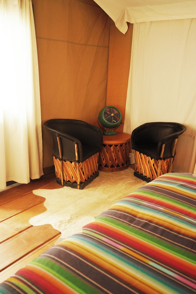 El Cosmico - photo 54