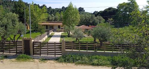 Fish Eye in Nikiti, Greece