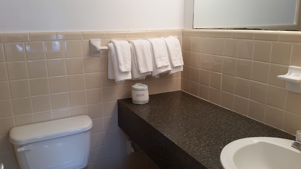 Carolina TarHeel Motel - photo 10