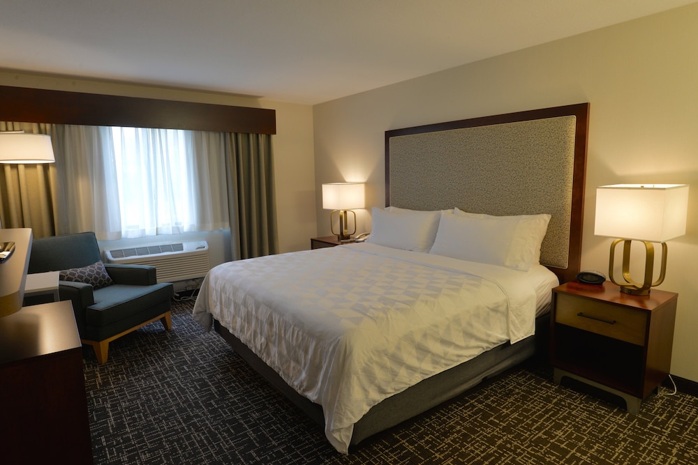 Holiday Inn Hotel & Suites Minneapolis Lakeville by IHG - photo 10
