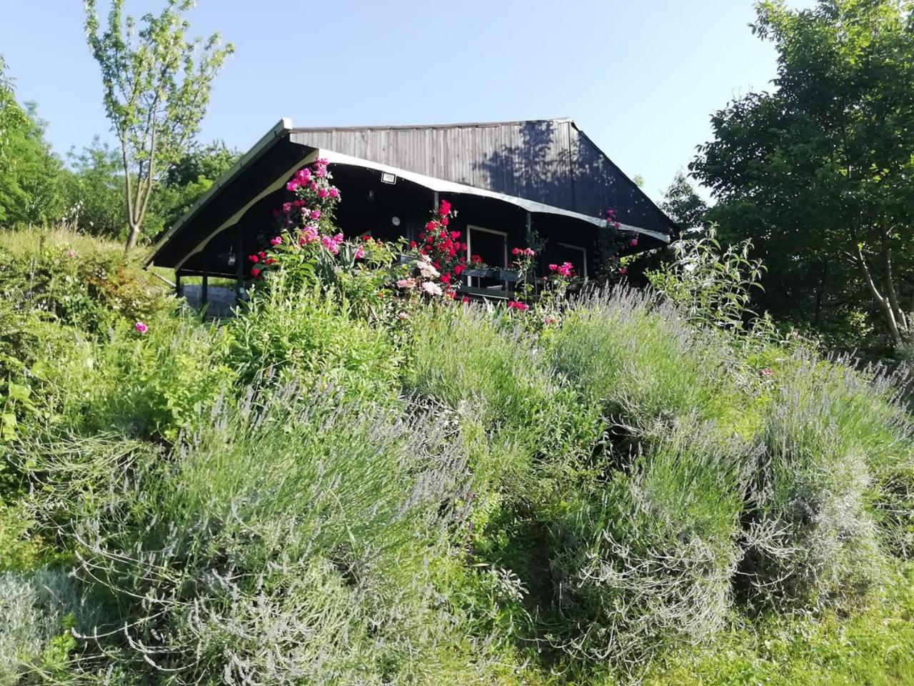Baranja Black Hill's — hotel in Draz