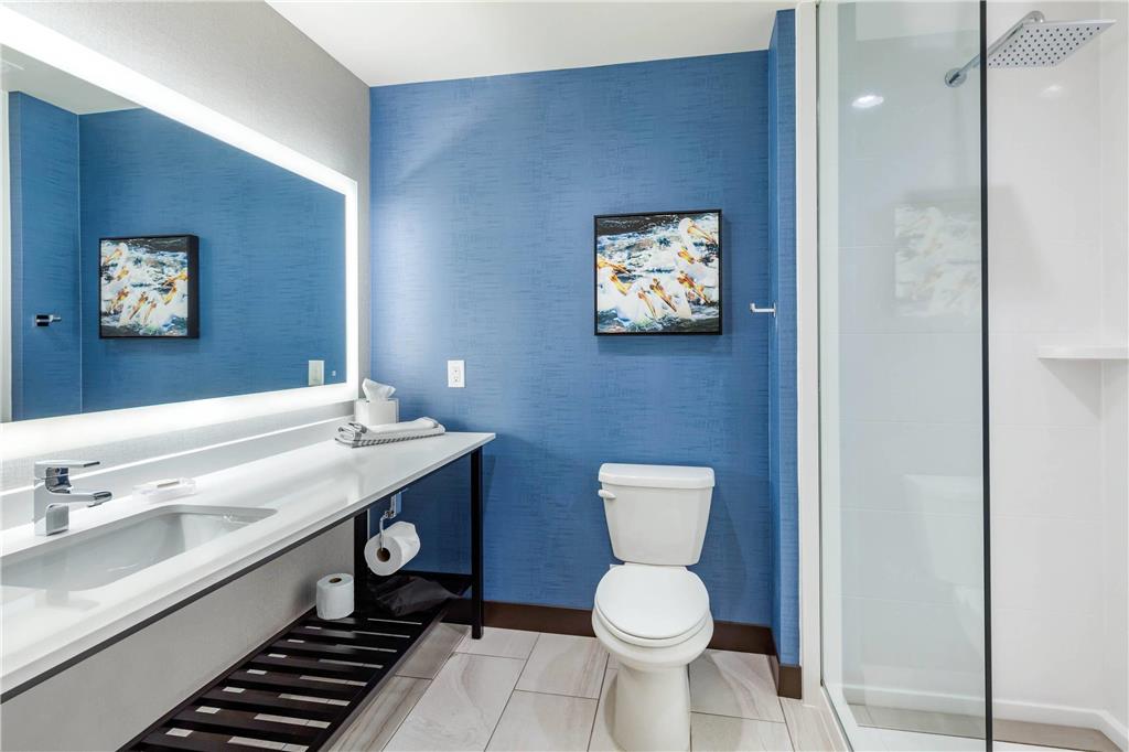Cambria Hotel Bettendorf Quad Cities - photo 25
