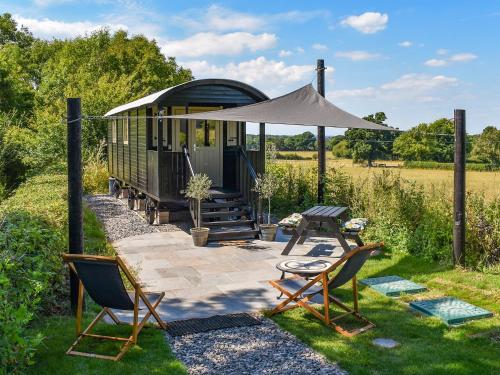 Foxglove in Blandford Forum, United Kingdom