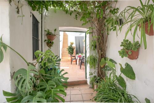 Casa Joaquina — 4-Star Luxury Hotel in Conil De La Frontera, Spain