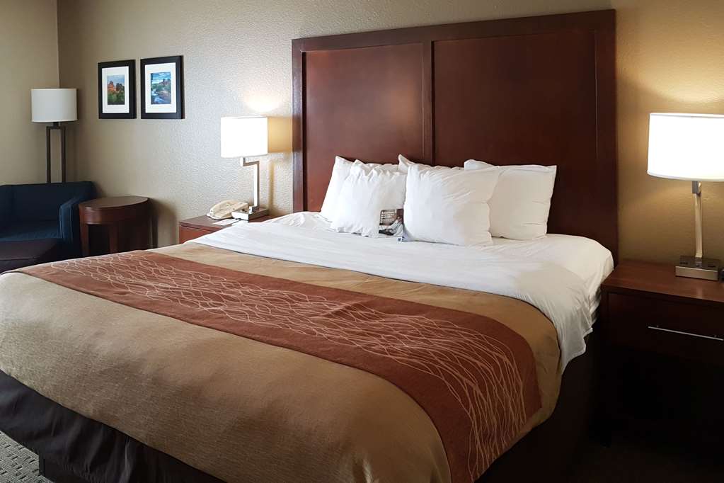 Comfort Inn I 10 West at 51st Ave - photo 14