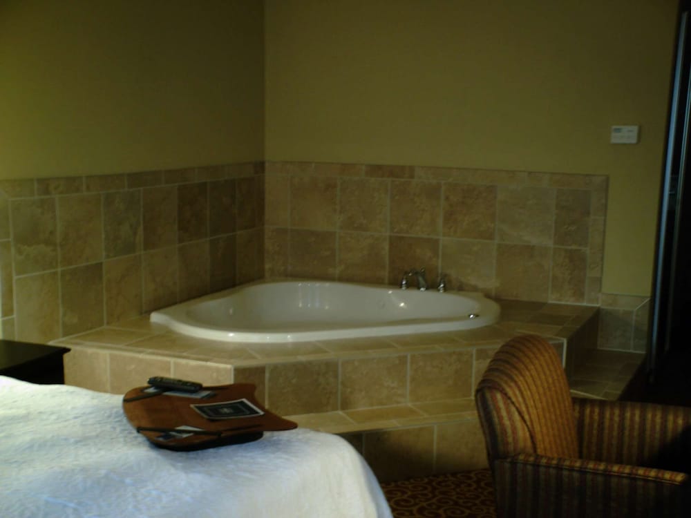 Hampton Inn Vidalia - photo 15