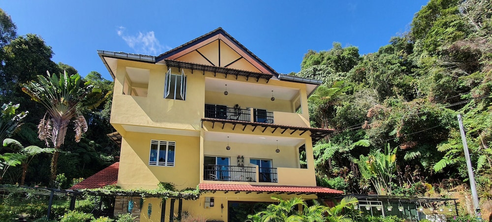 Arundina Cameron Highlands in Tanah Rata, Malaysia