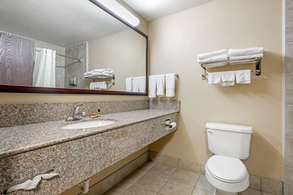 Best Western Plus Burleson Inn & Suites - photo 16