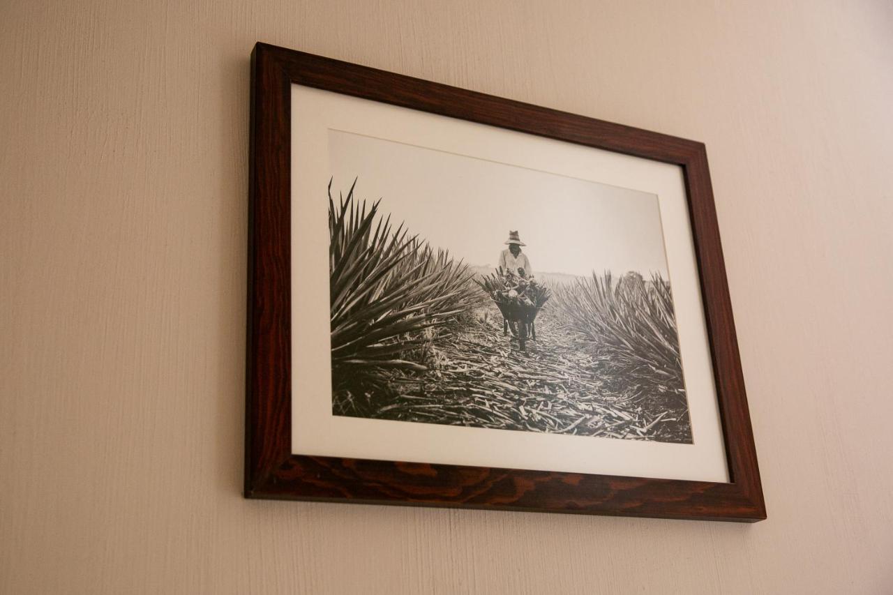 Comoda Casa Privada — Tequila — photo 3