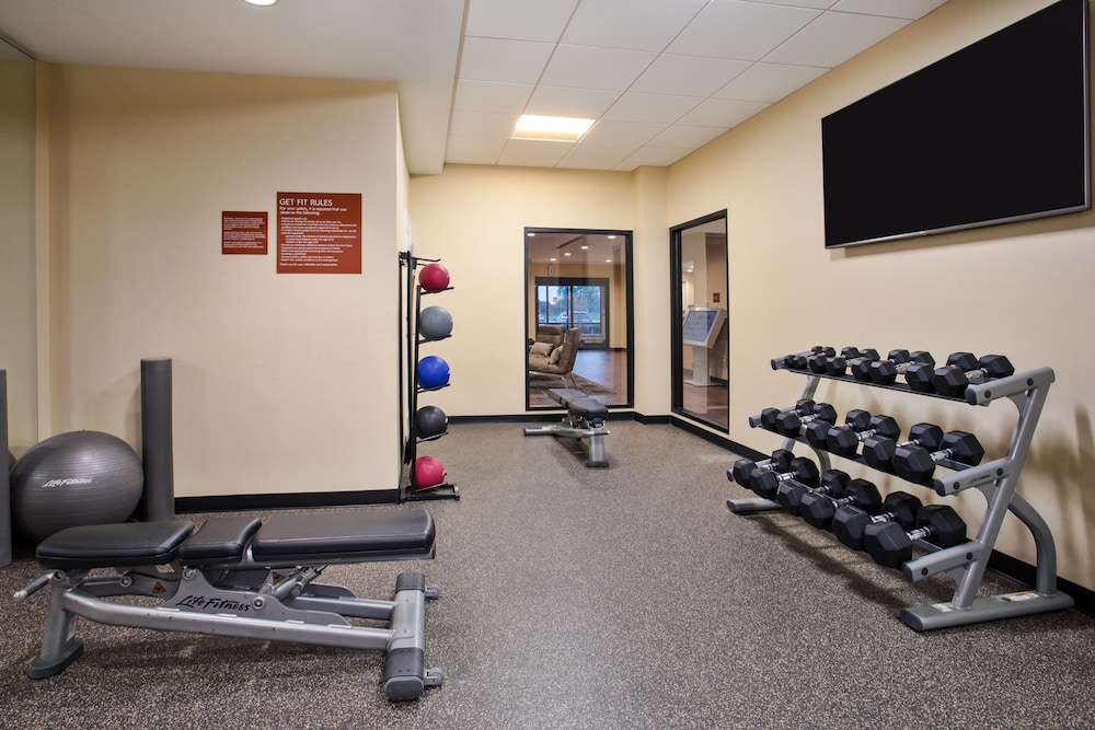 TownePlace Suites by Marriott Detroit Belleville - photo 38