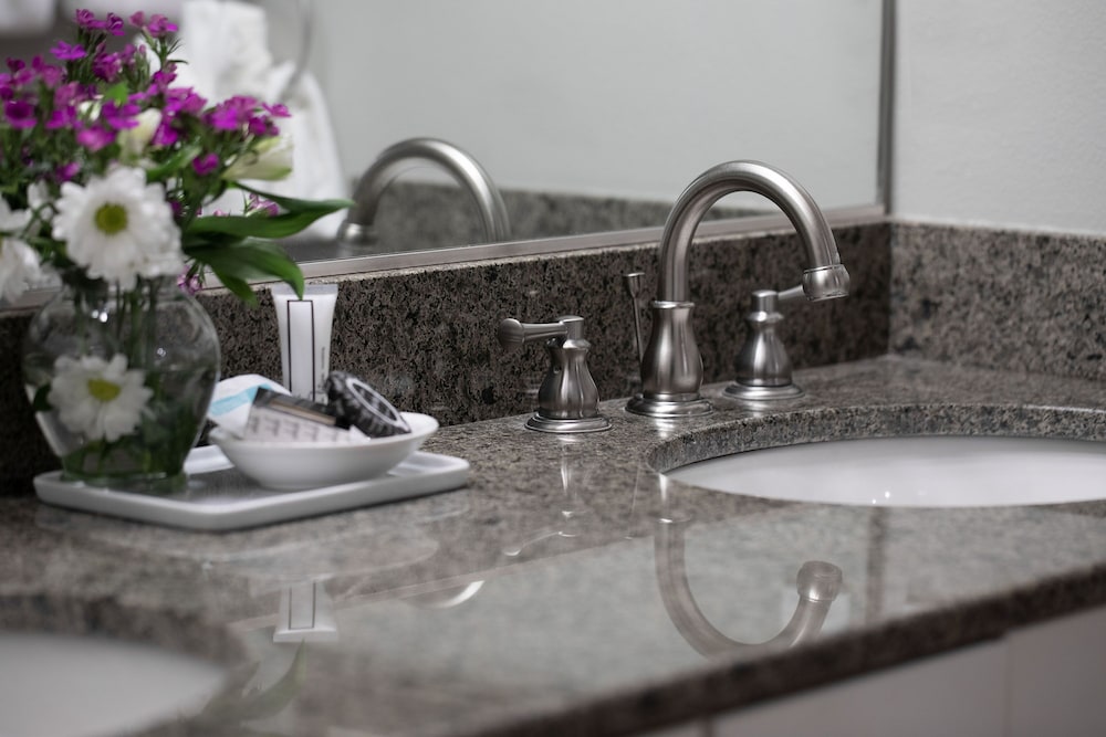 Rivertide Suites Hotel - photo 18