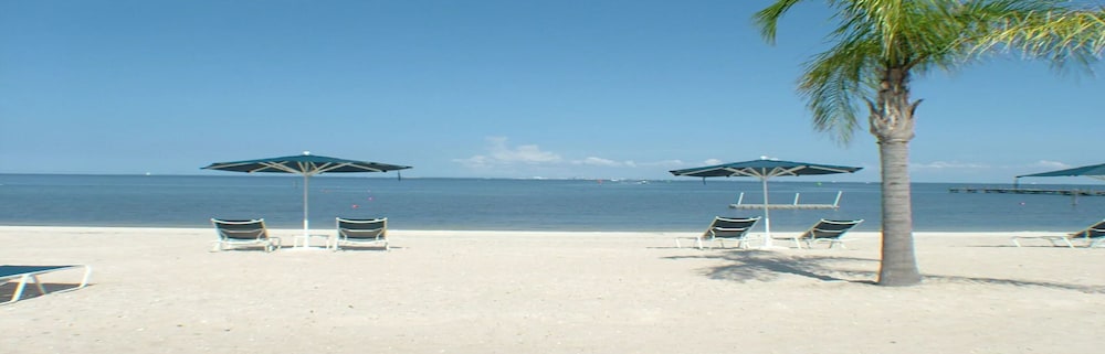 Harborside Suites at Little Harbor - photo 52