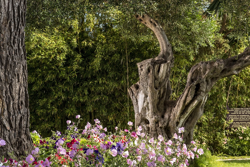 שטחי חוץ / גן