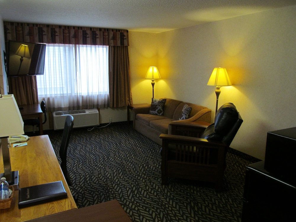 Fireside Inn and Suites - photo 25