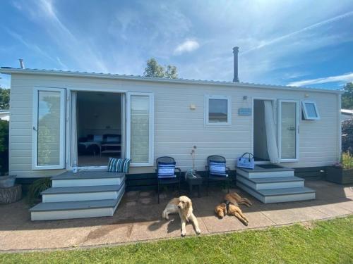 N 9Strandnahes hunde familienfreundliches Ferienhaus — carbon neutral stay, Callantsoog