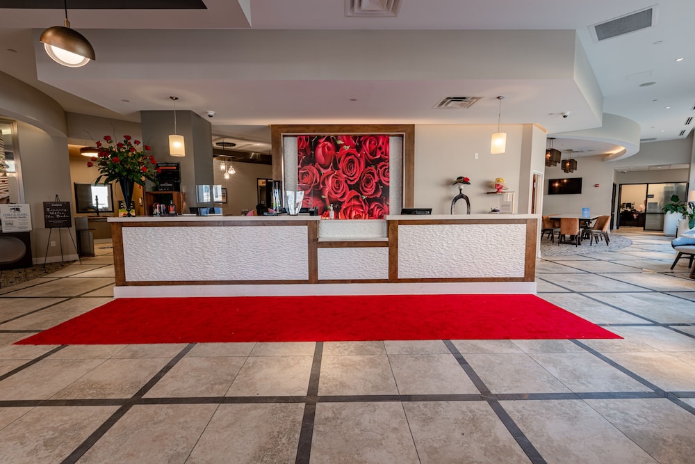 Hilton Garden Inn Louisville Downtown - photo 6