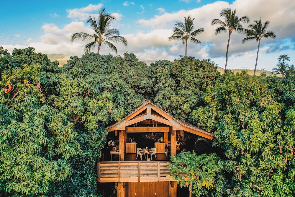 Hotel Wailea Relais & Chateaux Adults Only - photo 79