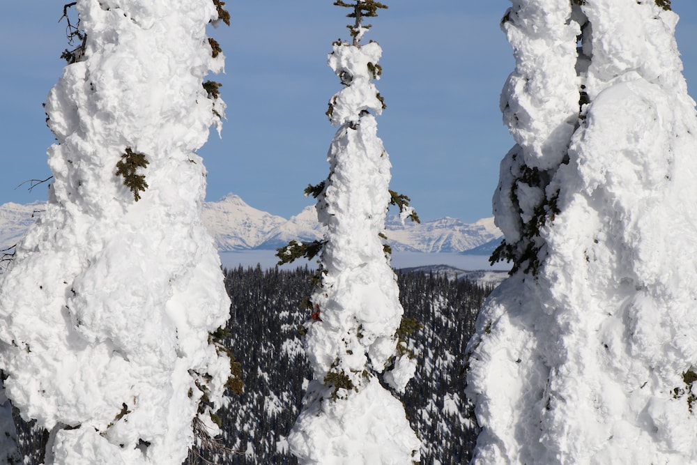Meadow Lake Resort & Condos - photo 147