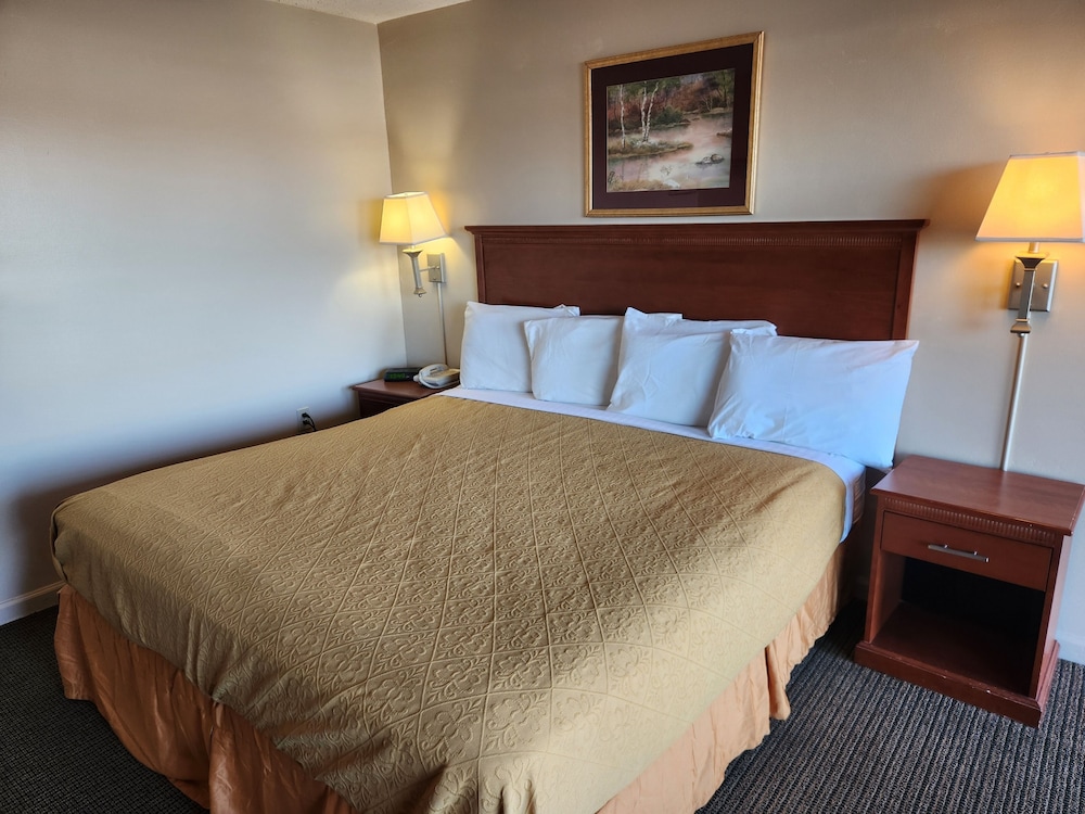 Royal Motel - photo 13