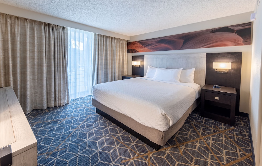 Embassy Suites by Hilton Phoenix Biltmore - photo 9