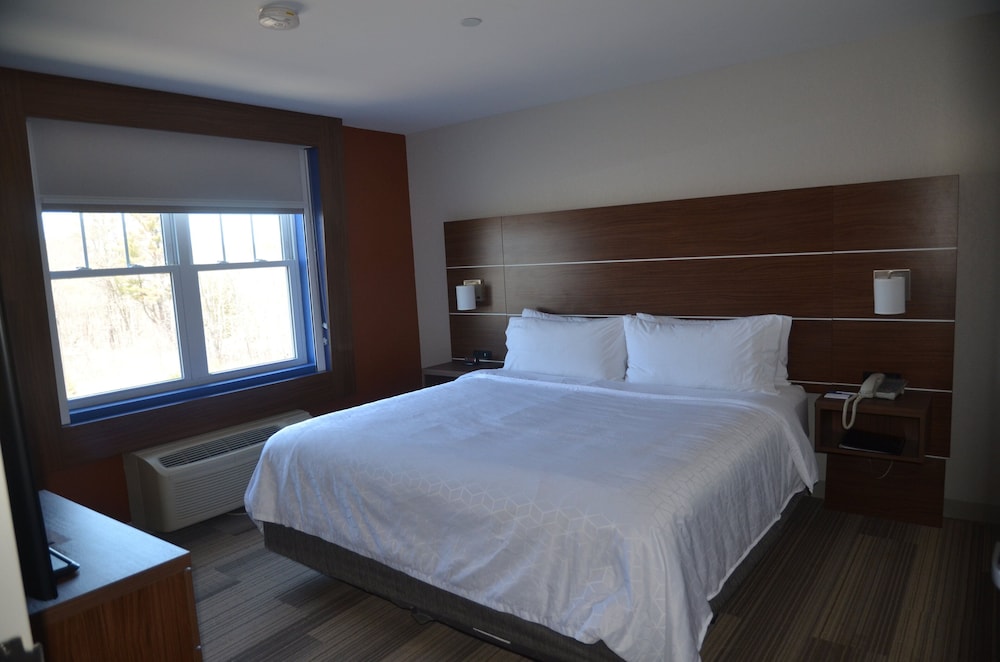 Holiday Inn Express Hotel & Suites Rochester by IHG - photo 5