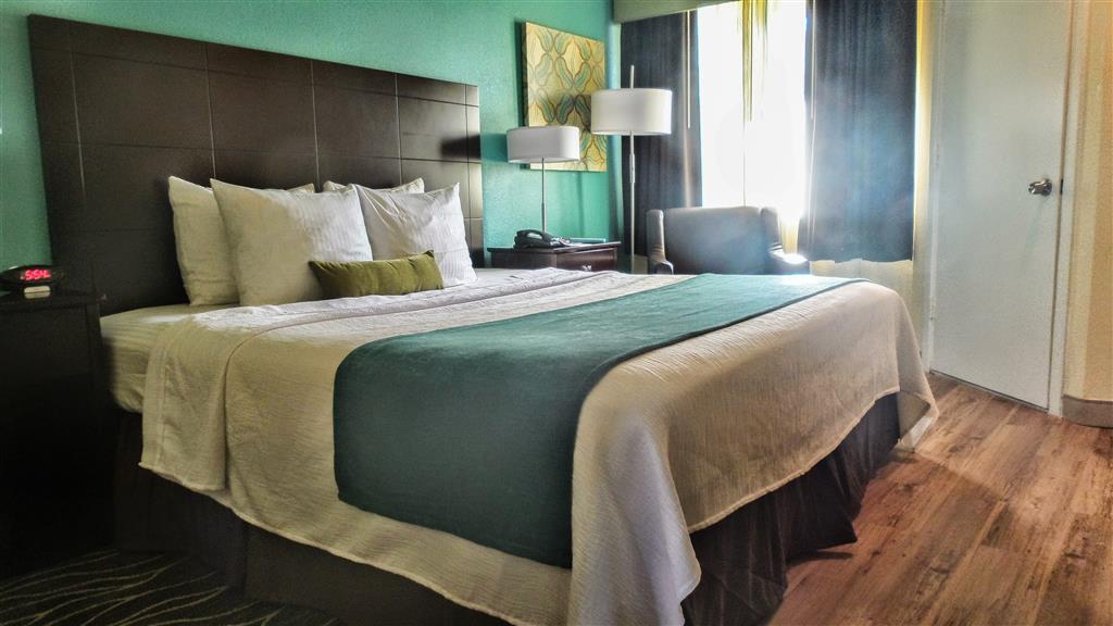 Best Western Plus Deerfield Beach Hotel & Suites - photo 18