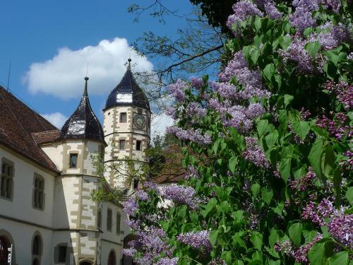 Schloss Haigerloch — Haigerloch
