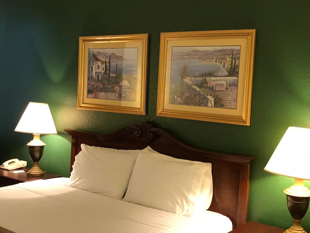 Ruskin Inn Hotel - photo 16