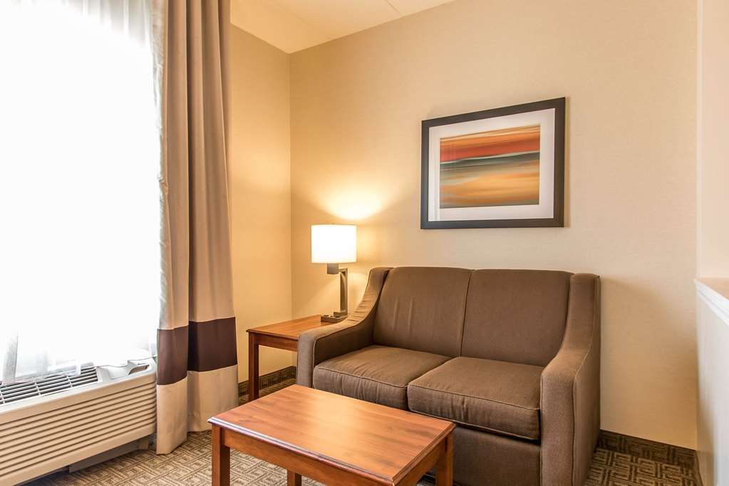 Comfort Suites Richmond - photo 12