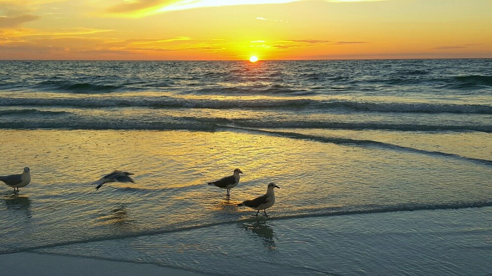 Treasure Island Vacations by TechTravel - photo 138