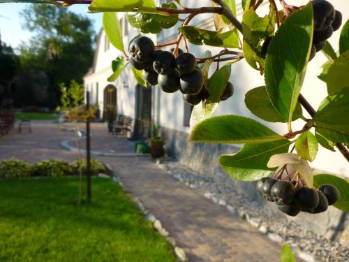 Aronia Park — hotel in Swierzawa