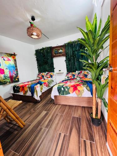 Refugio de las Aves - carbon neutral hotel in Unknown City