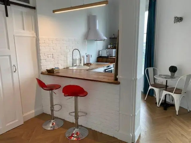 L’ALBERT 1er Ancien Palace Centre ville Terrasse in Vichy, France