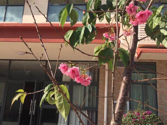 Yuanmou Qingke Nanfan Hotel in Yuanmou, People's Republic of China