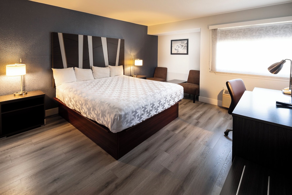 Hotel Mira Vista - photo 20
