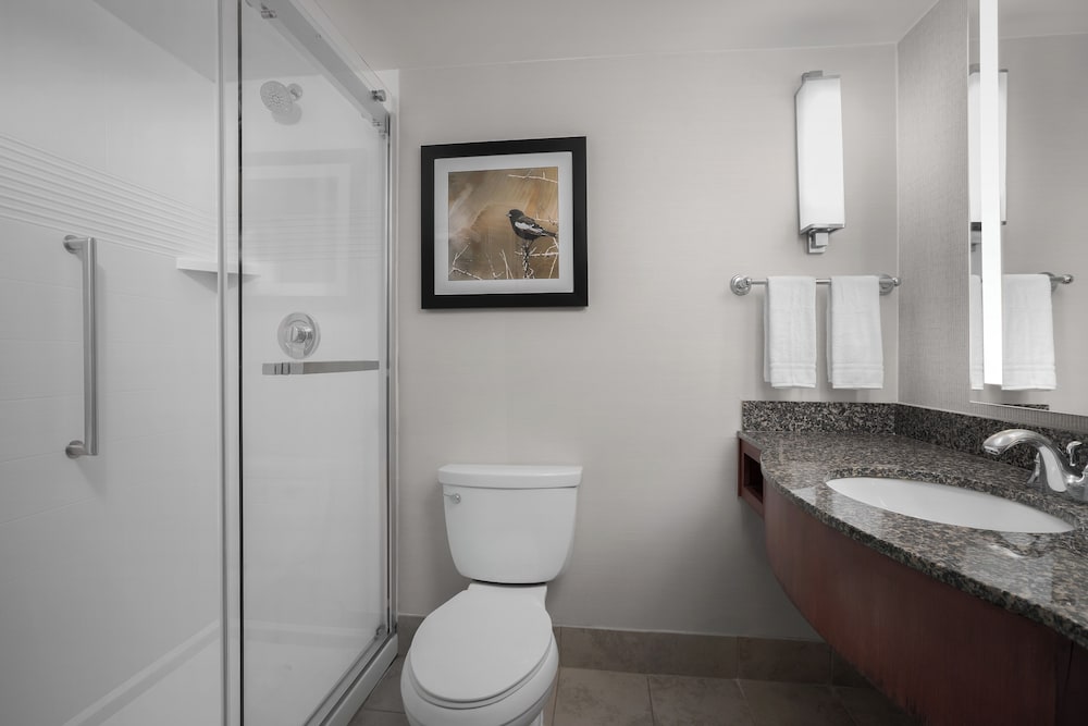 Hilton Garden Inn Denver Downtown - photo 42