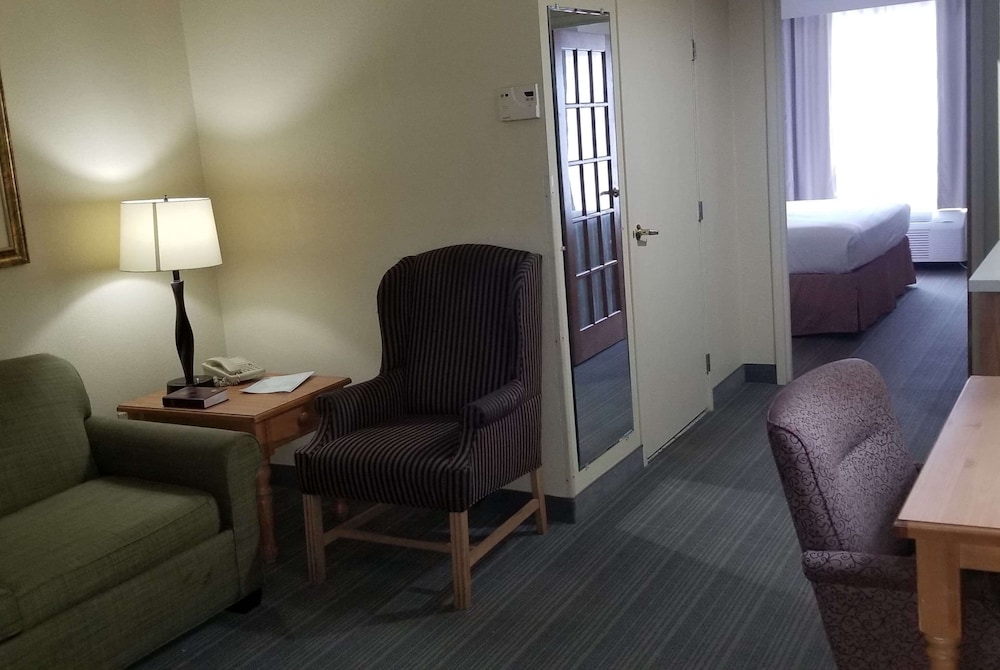 Holiday Inn Express & Suites Chicago Matteson an IHG Hotel - photo 54