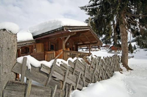 Almliesl Holl 361 — hotel in Hollersbach Im Pinzgau
