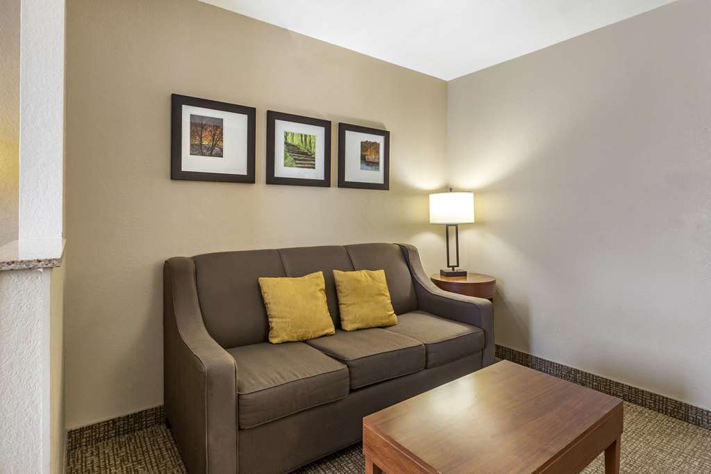 Comfort Suites Coralville I 80 - photo 21