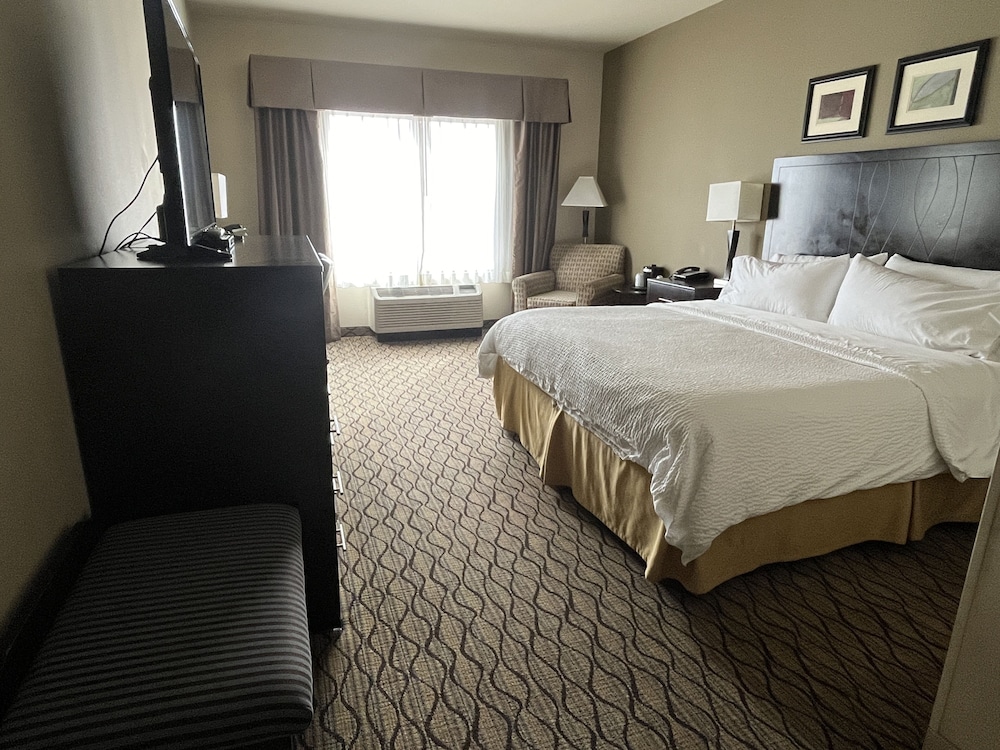Holiday Inn Express Hotel and Suites Deming Mimbres Valley - photo 6