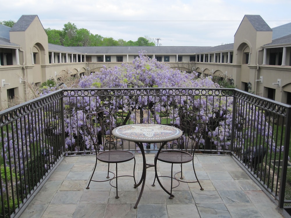 Vineyard Court Designer Suites Hotel - photo 33