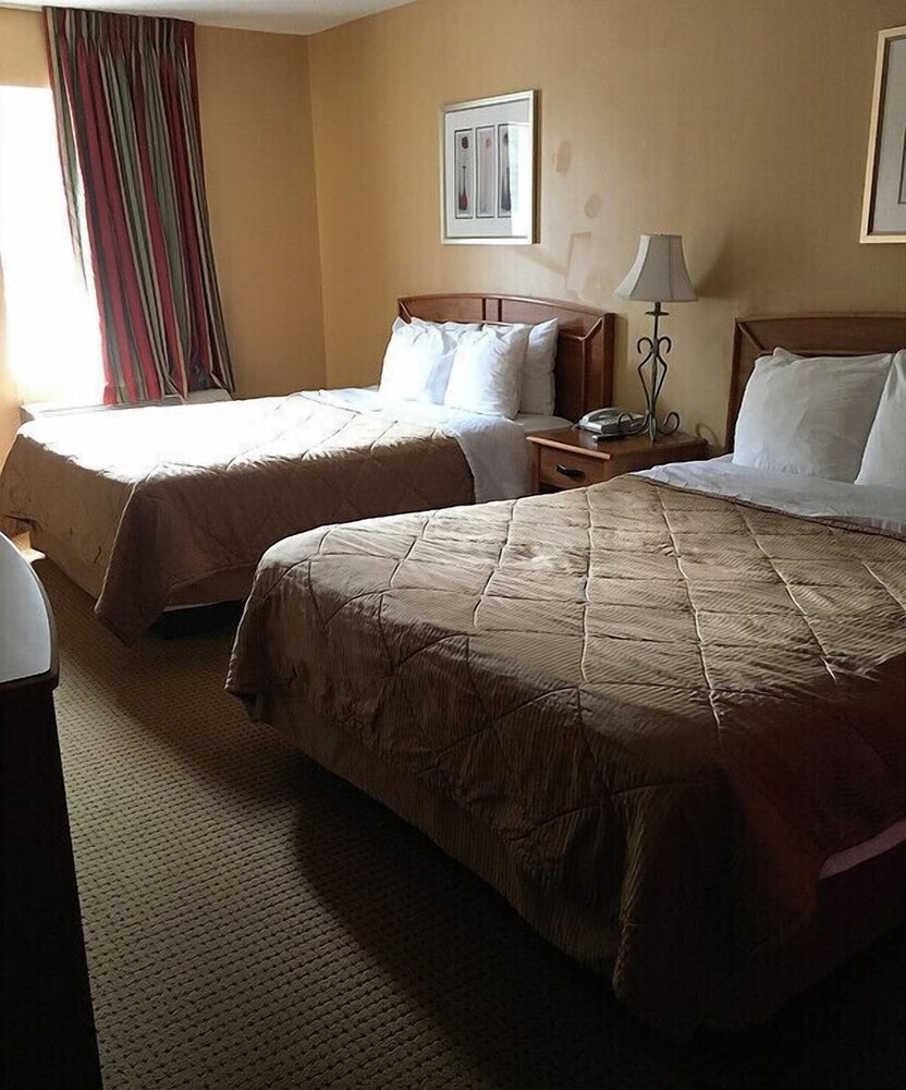 Fairview Inn Airport - photo 8