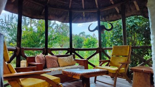 Podocarpus cottages — Naro Moru — photo 4