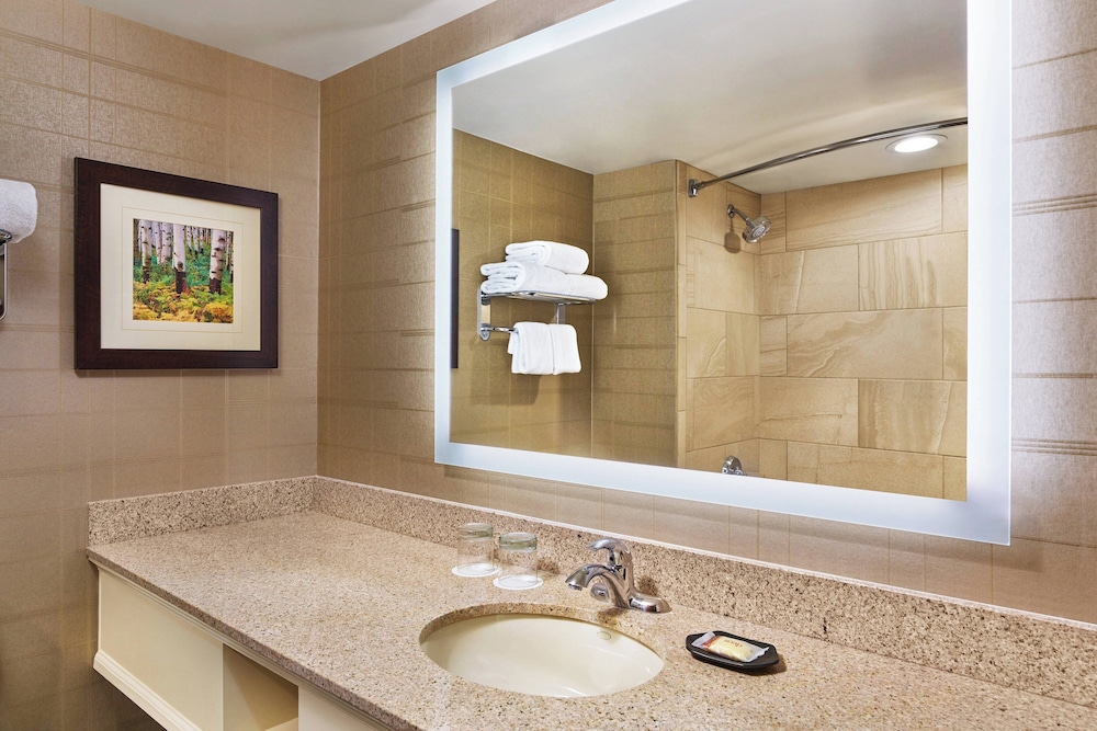 Sheraton Denver West Hotel - photo 12
