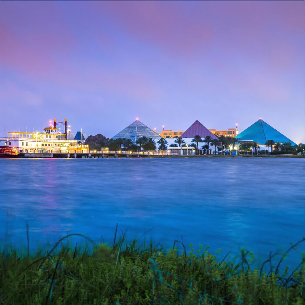 Moody Gardens Hotel Spa and Convention Center - photo 43