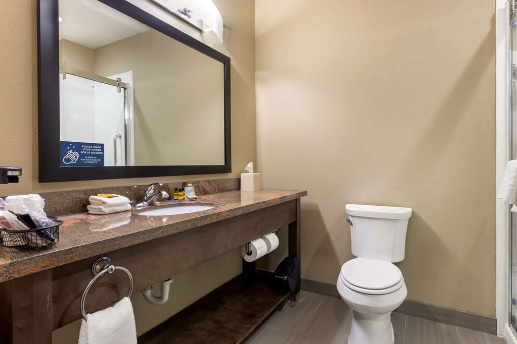 Best Western Plus Fort Stockton Hotel - photo 23