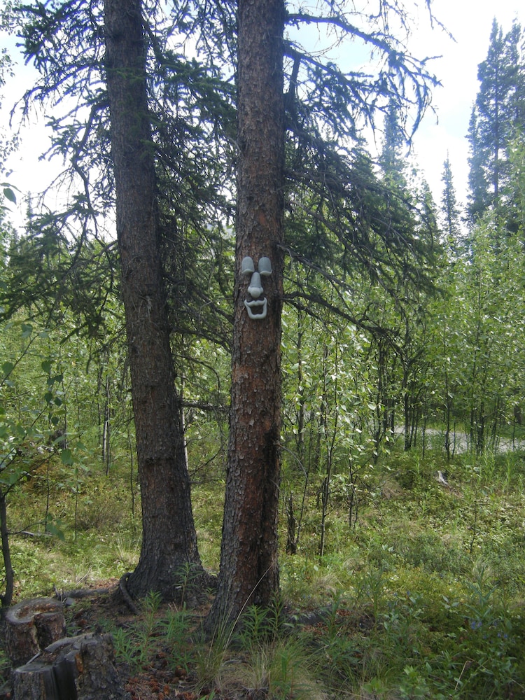 Denali Perch Resort - photo 11