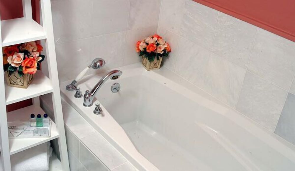 Mansion House Inn And Spa - photo 38