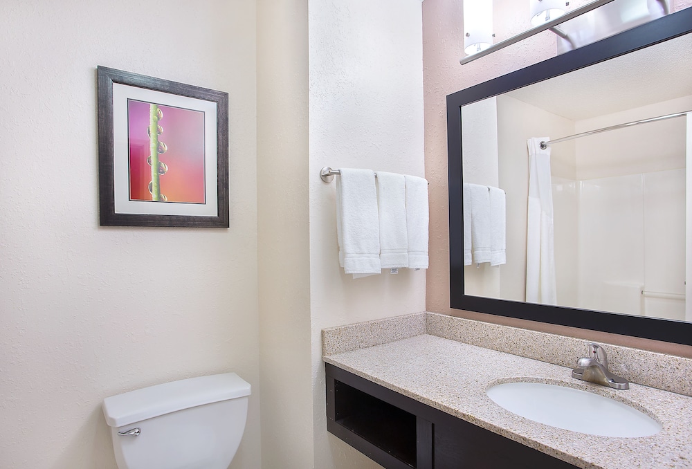 Holiday Inn Express Hotel & Suites Murphy by IHG - photo 15