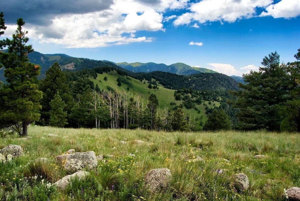 Bear Paw - photo 27